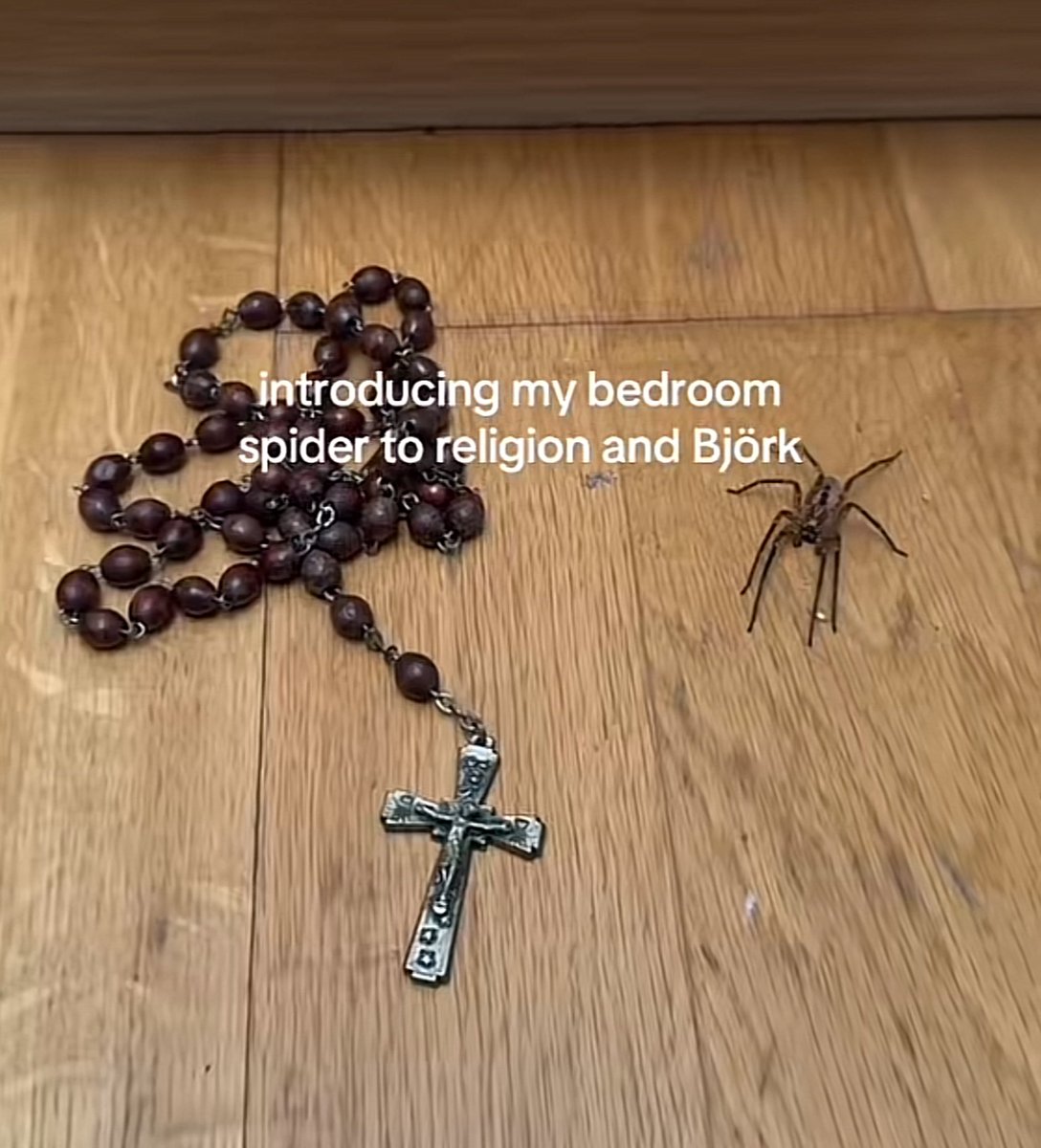 imagesaicouldnt's tweet image. 