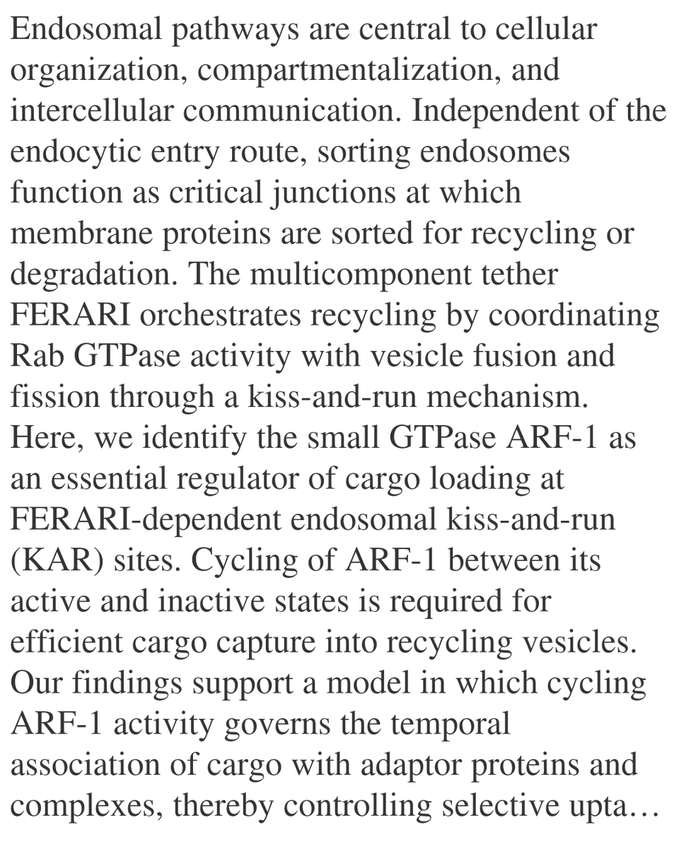 WFC's tweet image. ARF-1 Coordinates Cargo Sorting at FERARI Endosomal Recycling Hubs

Solinger, J. A., Franziscus, C. A., Nuredini, T., Müller, D., Adarska, P., Bottanelli, F., Spang, A.
biorxiv.org/content/10.648…