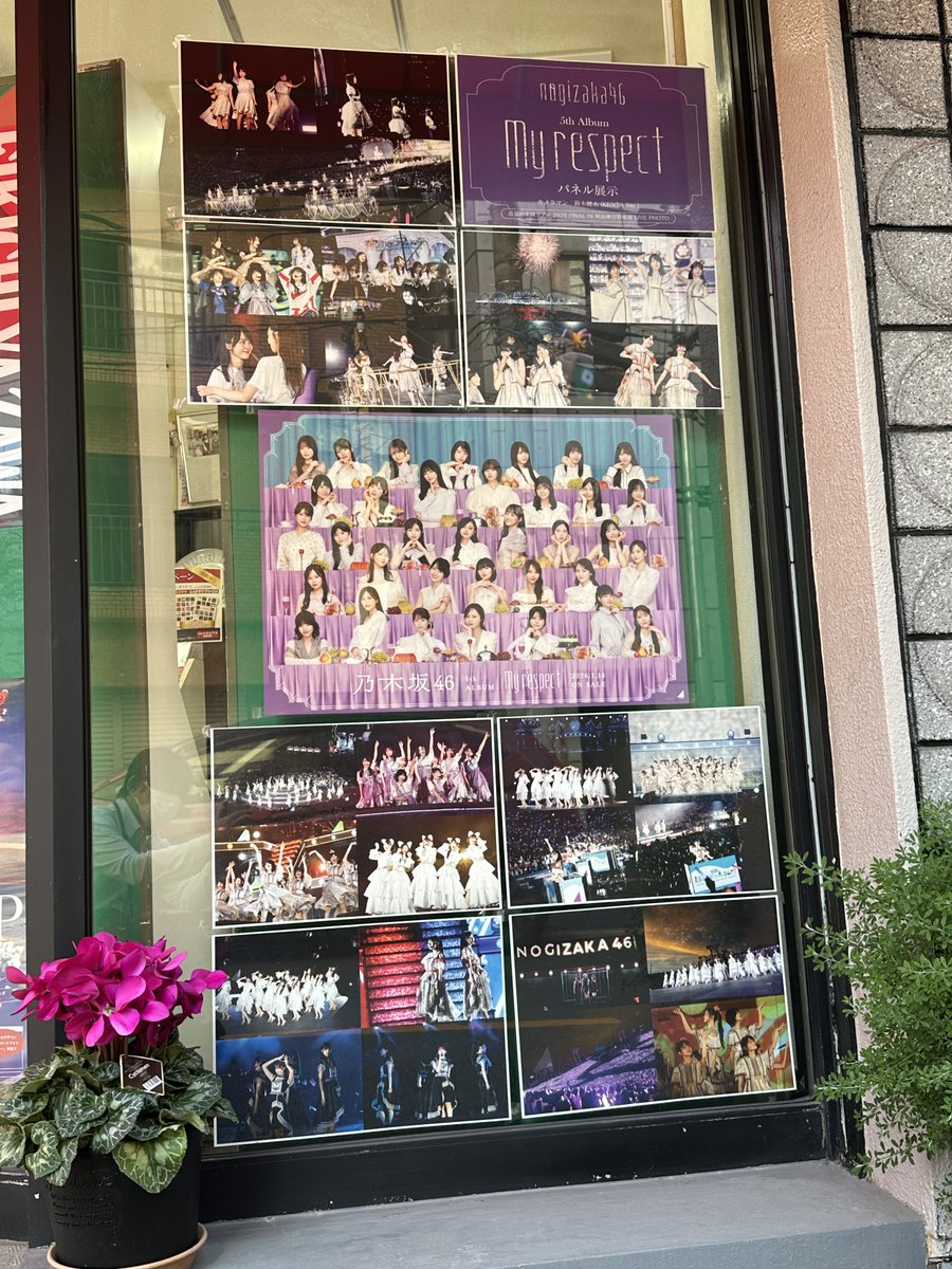 📌📌パネル展📌📌 乃木坂46/My respect パネル展 今日から始まりました