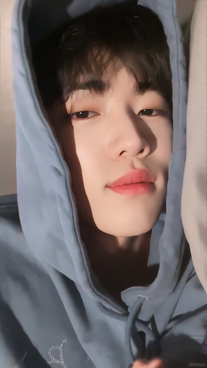 날이 밝았습니다. 모두 고개를 들어 엔젤몬 얘기를 시작해봅시다. 비트주세요 (휑~)