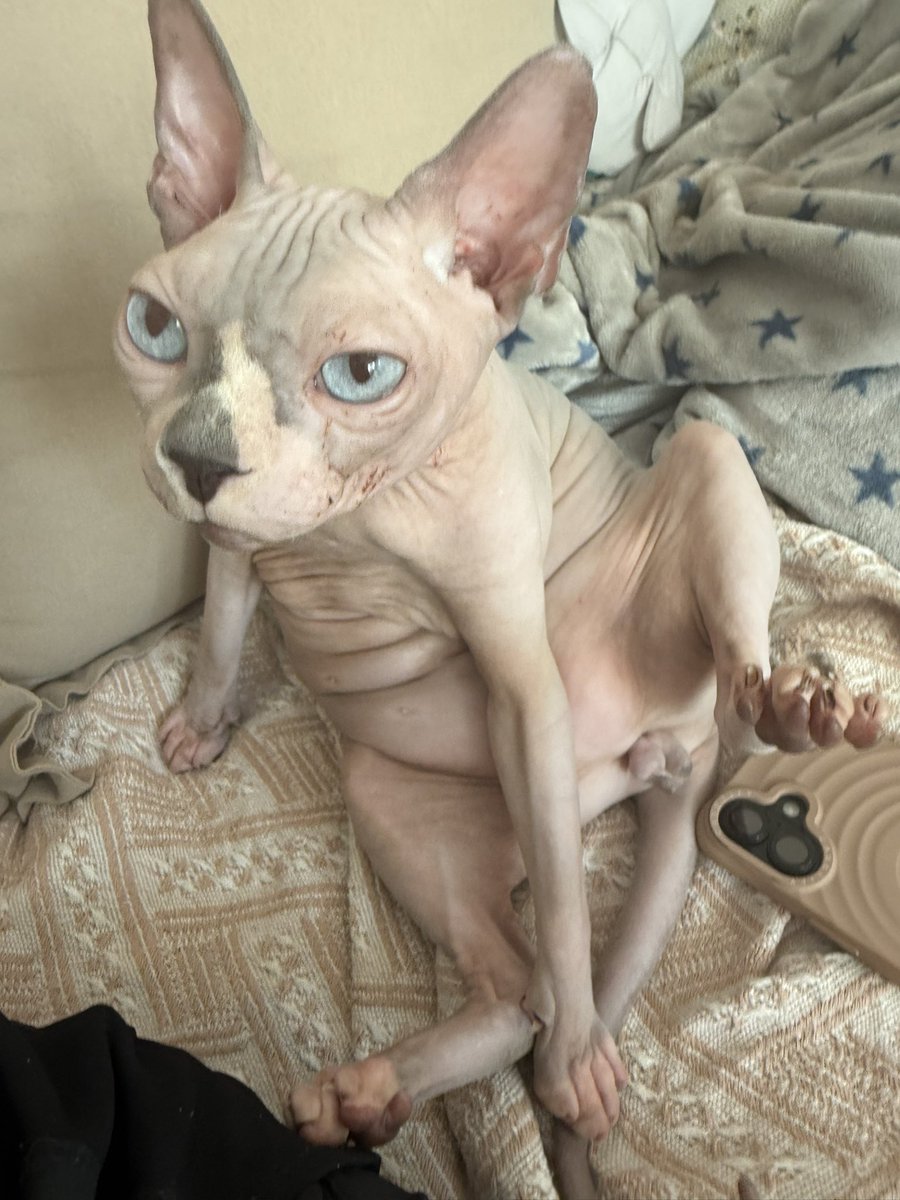 ทำไมอ่ะคับ ปุกทำไมคับ