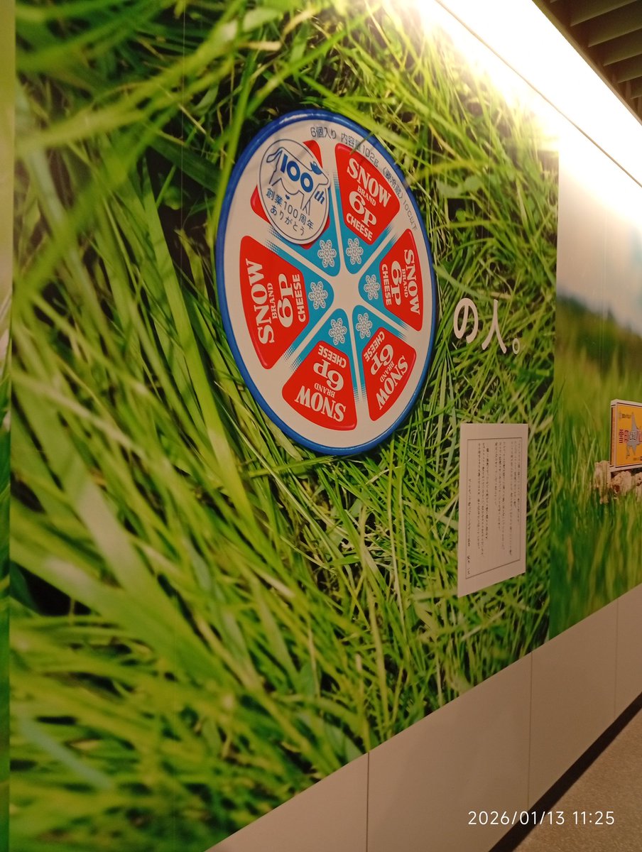 ꧁⋆megmilk⋆꧂ レース配色クレリックワンピース｜ワンピース｜CECIL McBEE(セシル