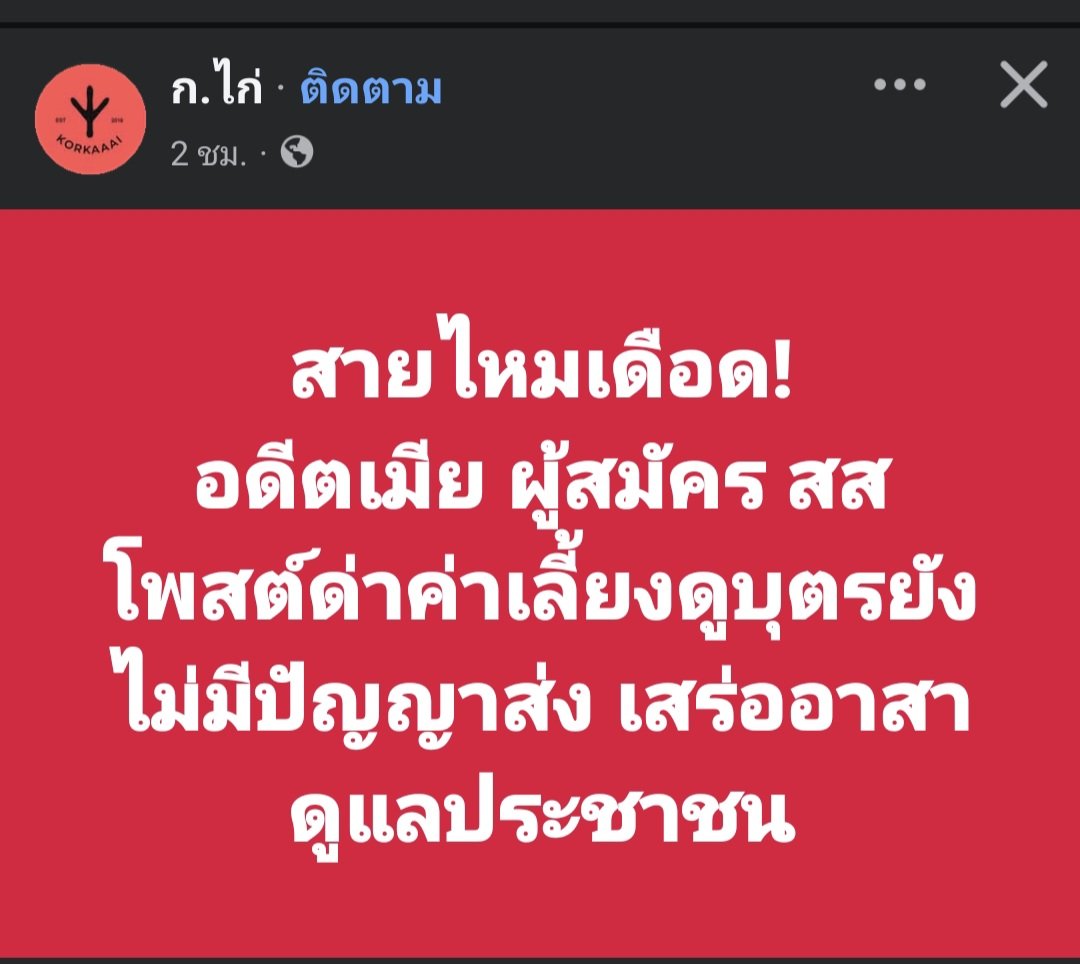 ฮ.นกฮูก(สีส้ม) tweet media