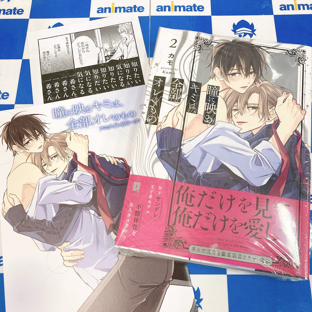 キミガシネ きみよん アニメイト特典 キミガシネ きみよん アニメイト 特典 漫画 小説 ジョー リーフレット