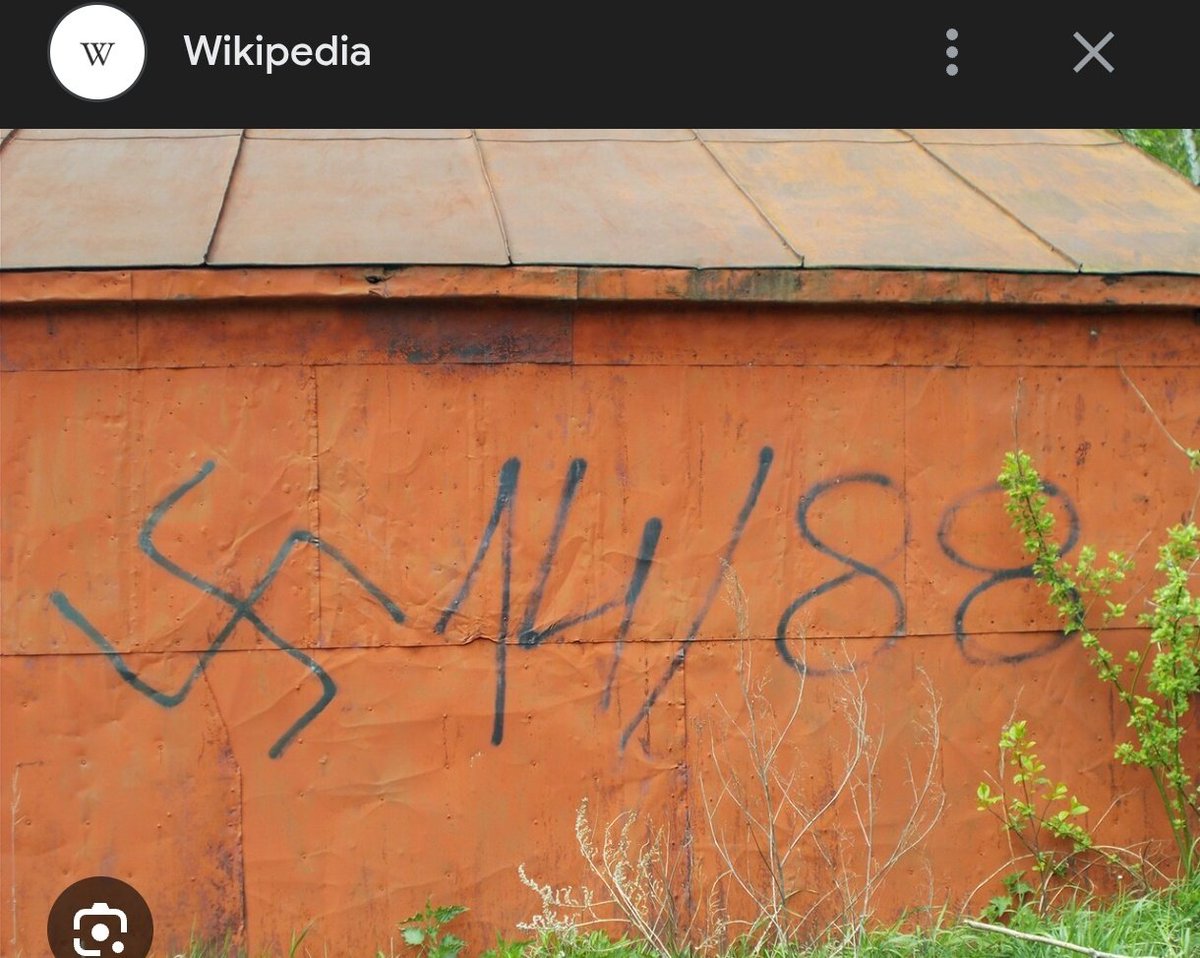 Para além das denúncias que o <a href="/moura_101/">Nando Moura_Oficial</a> e o <a href="/assimdisseojoao/">Marechal Kim João-Un</a> sobre o MBL, ninguém reparou na estética das cores da bandeira e a escolha do número, ambas com simbologia nazi? 🤔