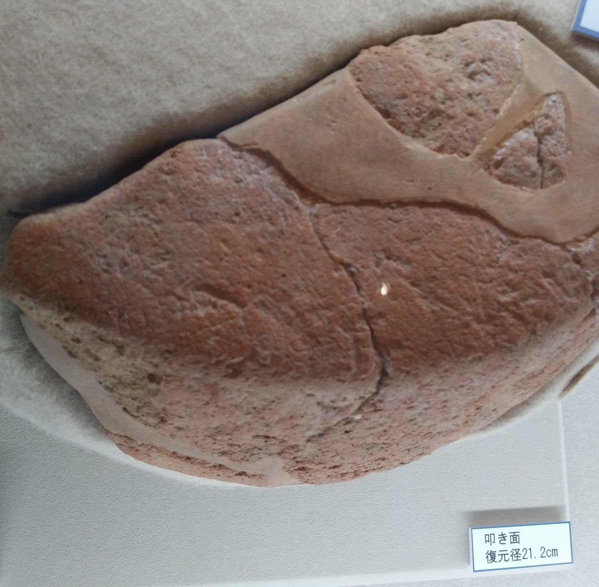 4年前 太鼓形埴輪を見ていたらしい‥‥‥ #埴輪 #はにわ #形象埴輪 #埴輪