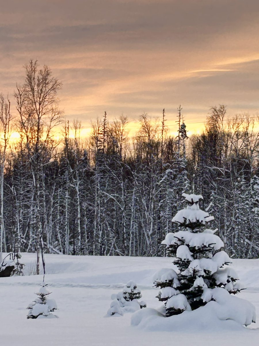 janetchart's tweet image. We had a stunning #sunset (at 4 pm) in the Mat-Su Valley in #Alaska tonight.