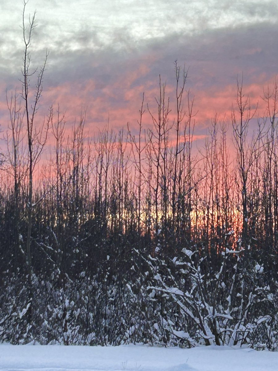 janetchart's tweet image. We had a stunning #sunset (at 4 pm) in the Mat-Su Valley in #Alaska tonight.