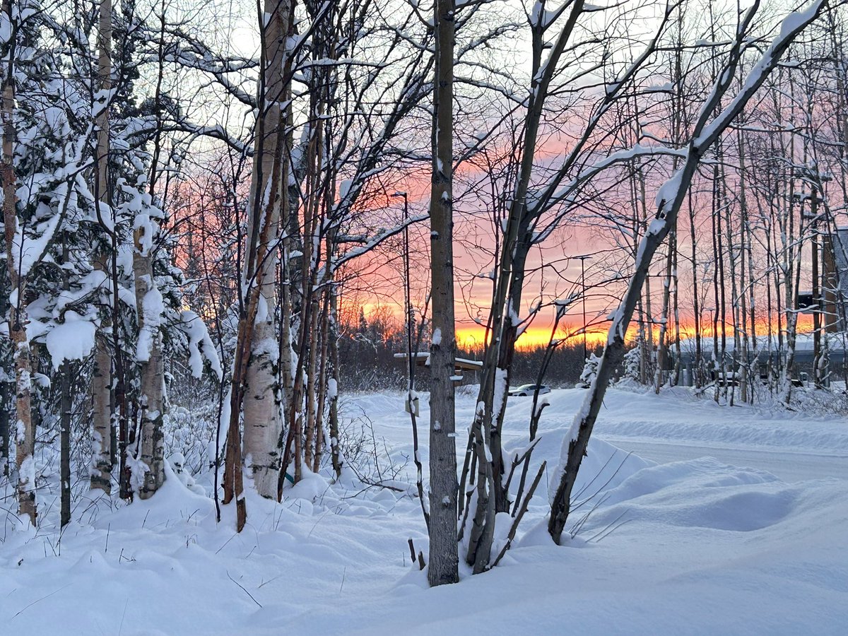janetchart's tweet image. We had a stunning #sunset (at 4 pm) in the Mat-Su Valley in #Alaska tonight.
