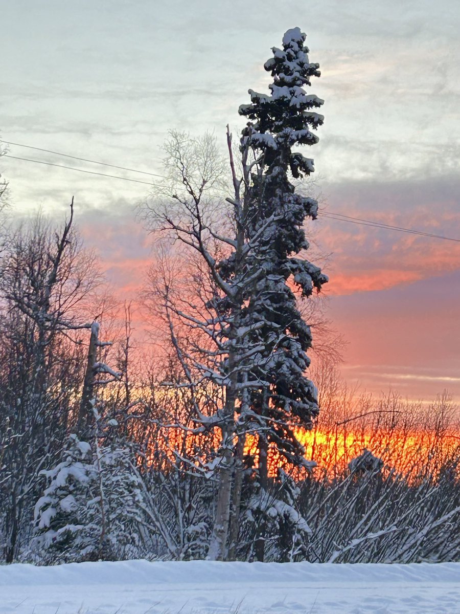 janetchart's tweet image. We had a stunning #sunset (at 4 pm) in the Mat-Su Valley in #Alaska tonight.