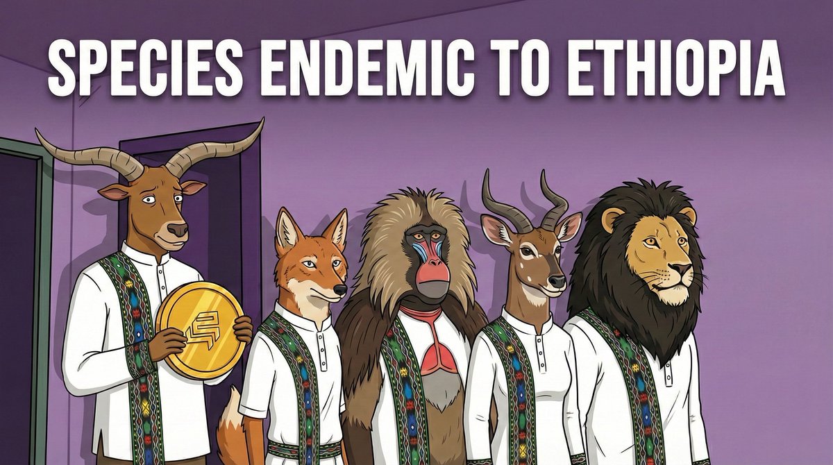 $ETN - ET Netsa Coin tweet media