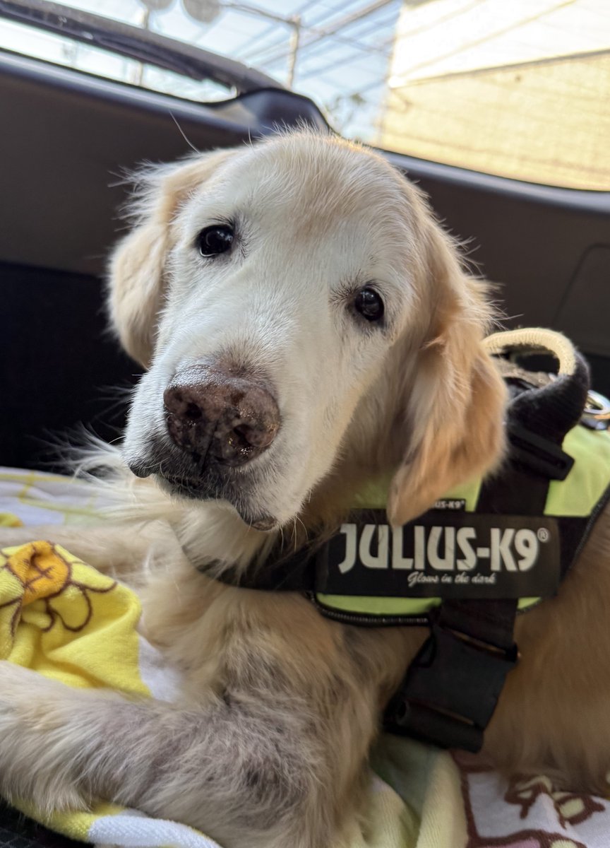 風太 (@kazenokofutan) / Posts / X