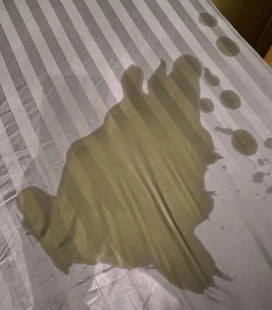 LVRDSVIRG's tweet photo. I pissed myself while sleeping today and my piss stain kinda looks like Big Chungus. #MEMERESET https://t.co/ovglF59NlX