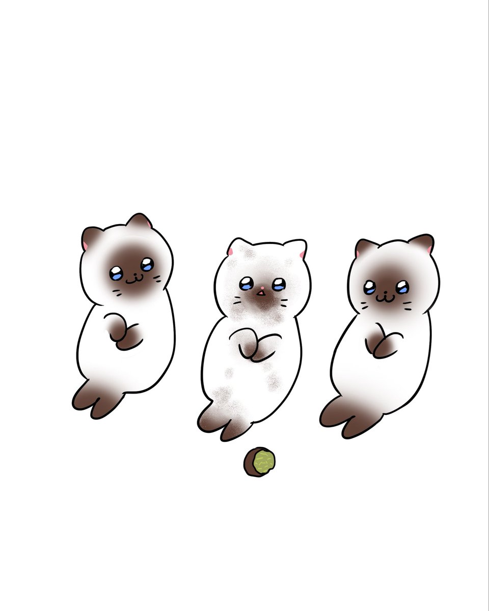 김영철 (@kim_young_cheol) on Twitter photo 