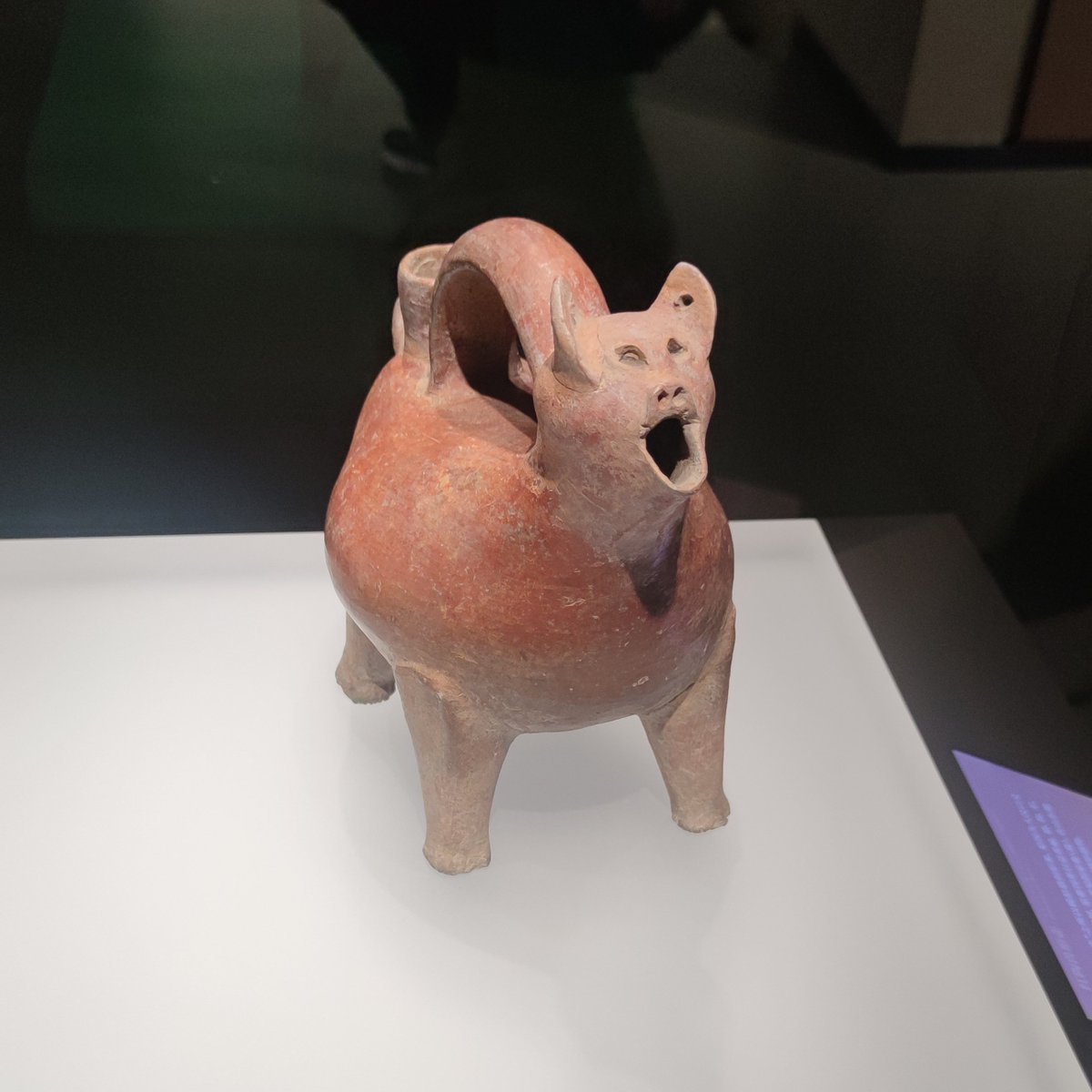YQ7774's tweet photo. #shandong museum

红陶兽形壶（大汶口文化时期）：实用+萌系���花板！像只憨态可掬的“小猪”的造型，既是酒壶又是艺术品~

亚醜钺：商代“权力的象征”，青铜钺刻有“亚醜”铭文，霸气侧漏，是商代军事权力的硬核代表～ https://t.co/cDgRWHKnDJ