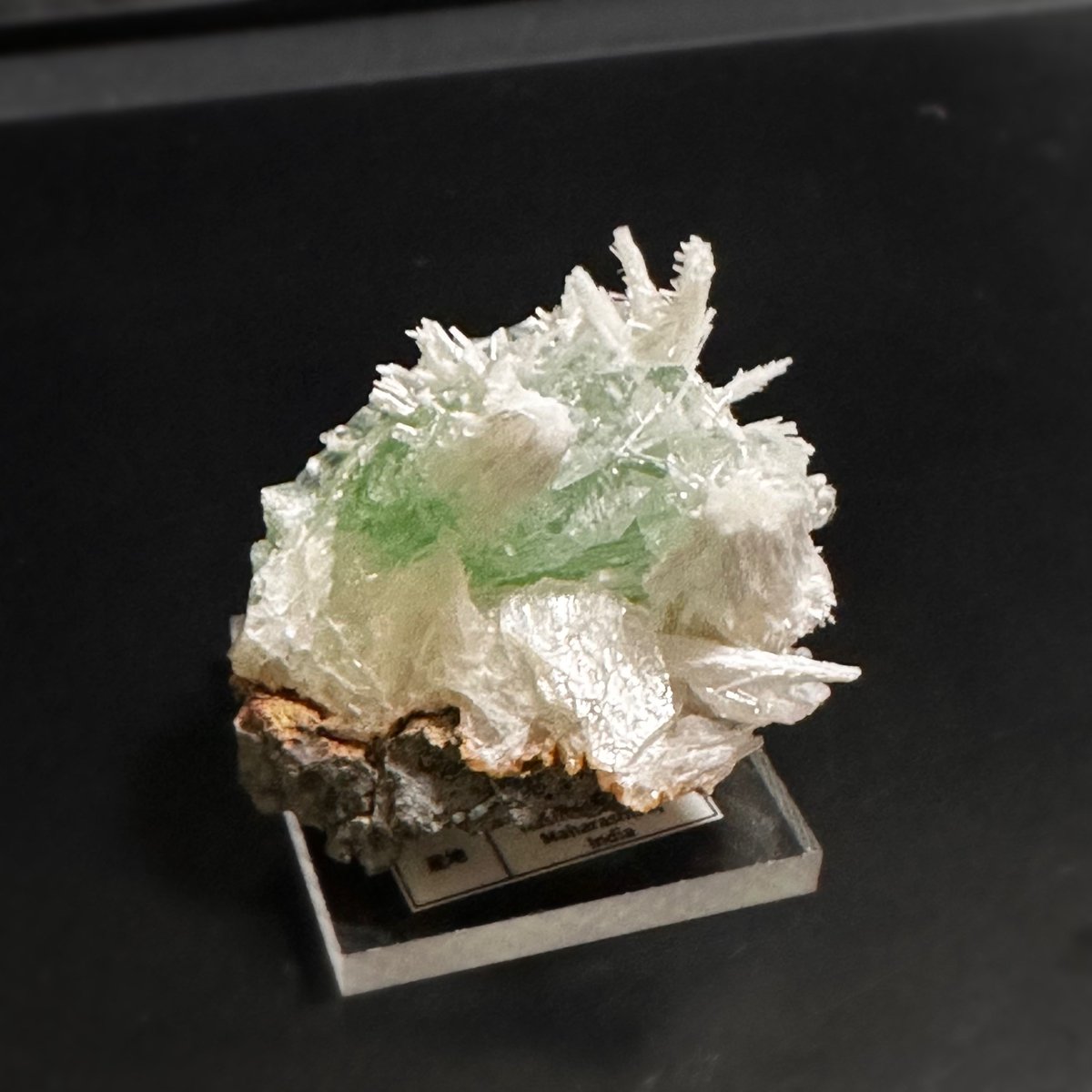 こちらがモチーフの、アポフィライトとスコレサイトの共生標本です