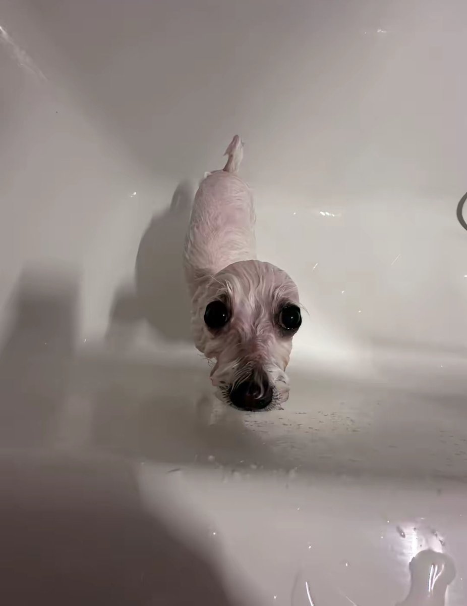 lanadvlu's tweet image. 1million by tmr?