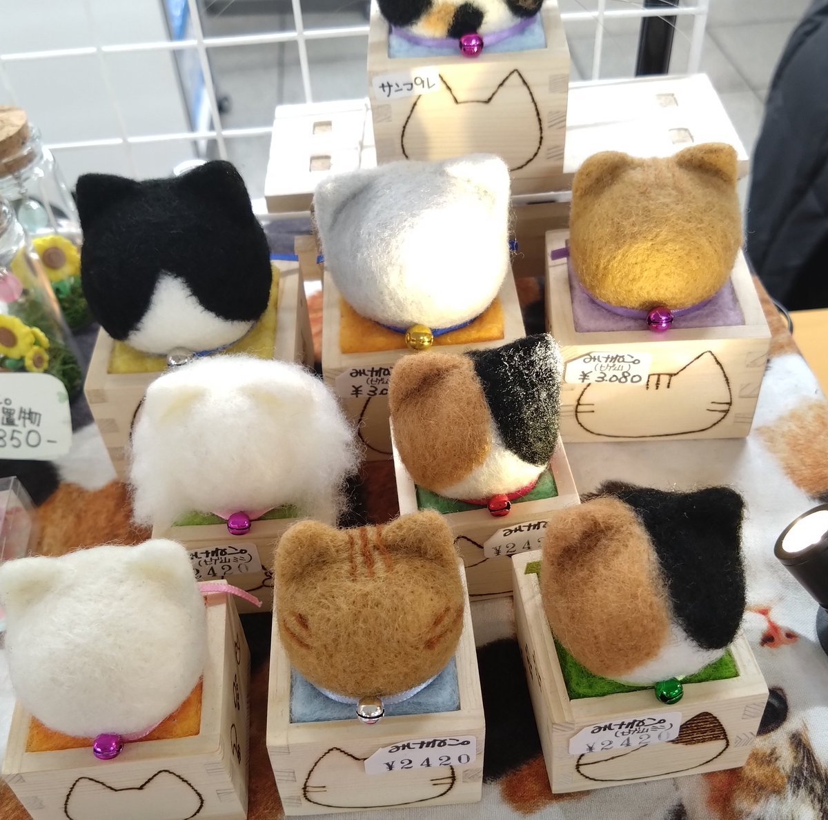 みけねこ。 (@mike_myi) / Posts / X