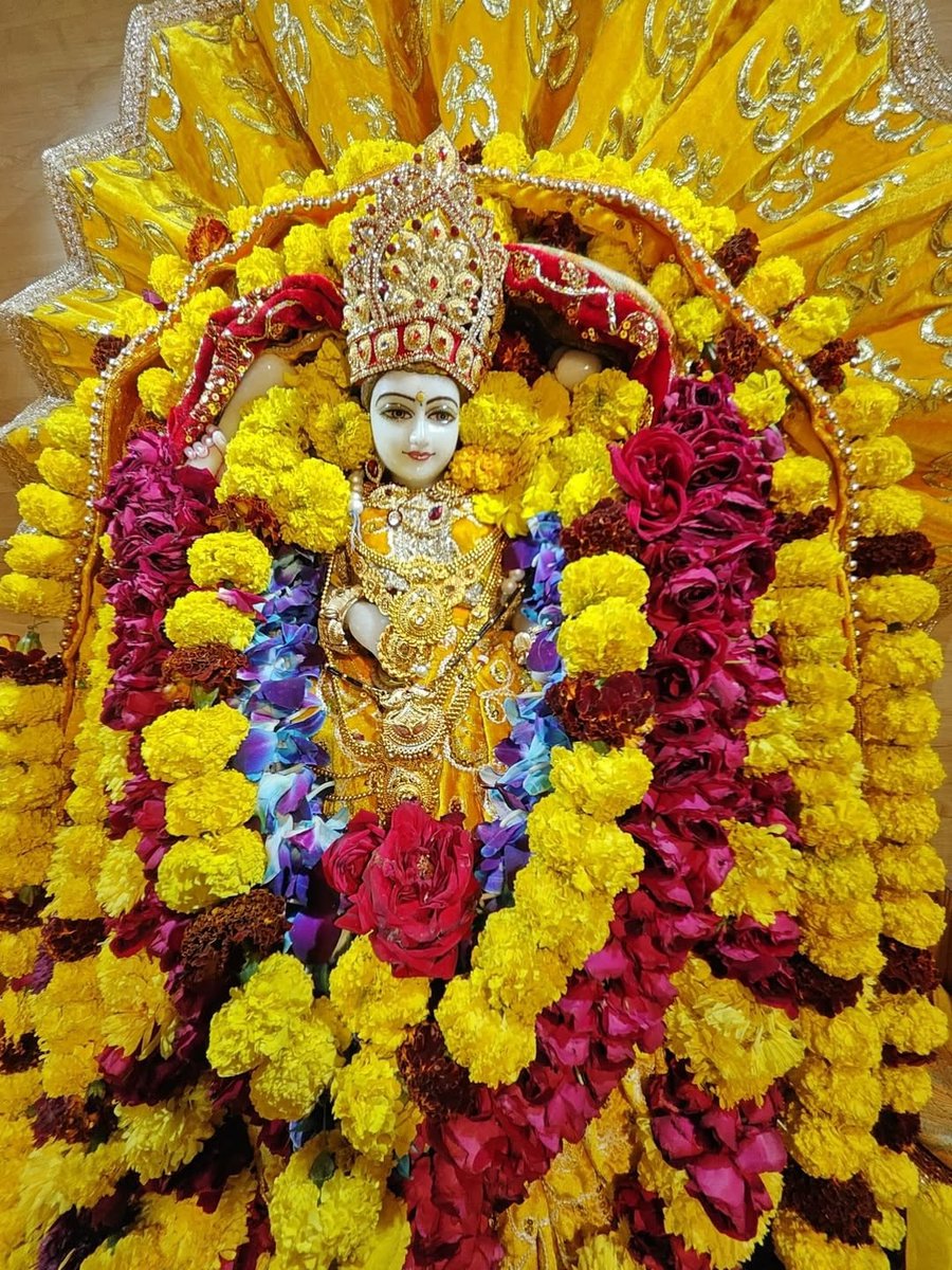 माँ बगलामुखी के दशर्न से सभी भक्तों की मनोकामना पूरी होती है। हमें पूर्ण श्रद्धा के साथ माँ का ध्यान करना चाहिए।