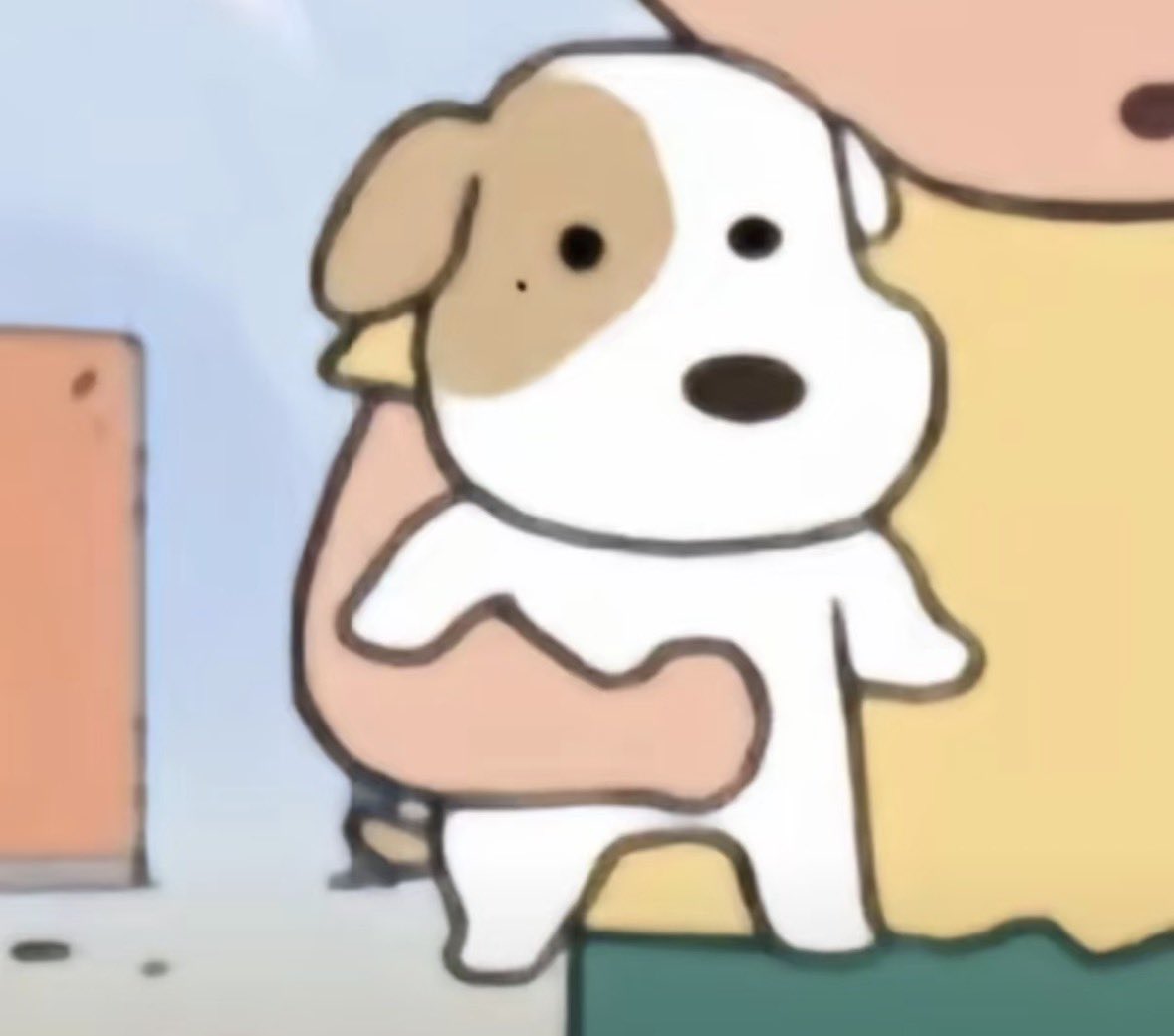 💖 (@twaniimals) on Twitter photo 