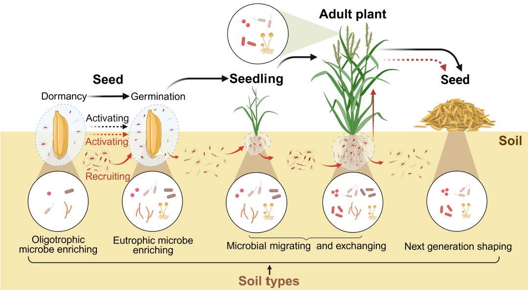 Molecular Plant & Plant Communications tweet media