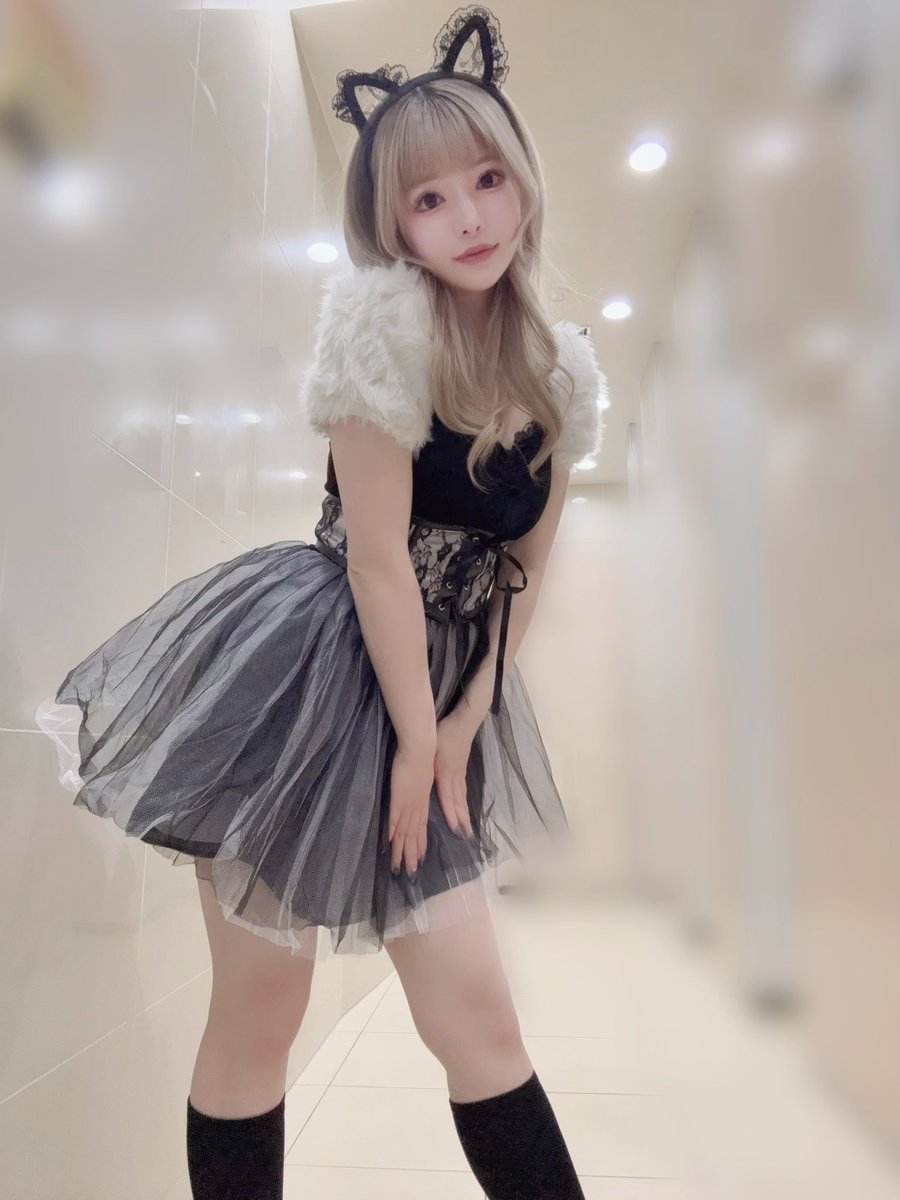 Post by みっちゃん on X: こんにちは