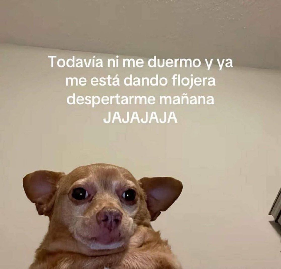 Salvador Iglesias Jr (@javisness) on Twitter photo 