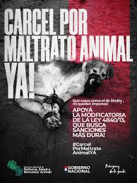 ninstructora2's tweet image. Me angustia entrar acá y ver tanto Maltrato Animal.  Mejor me retiro. ¡Duele¡