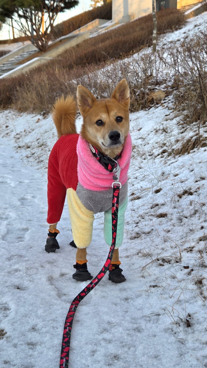 두쫀쿠 좋아하는 요즘 애들아 할미 어렸을때는 무지개떡이 최고였다