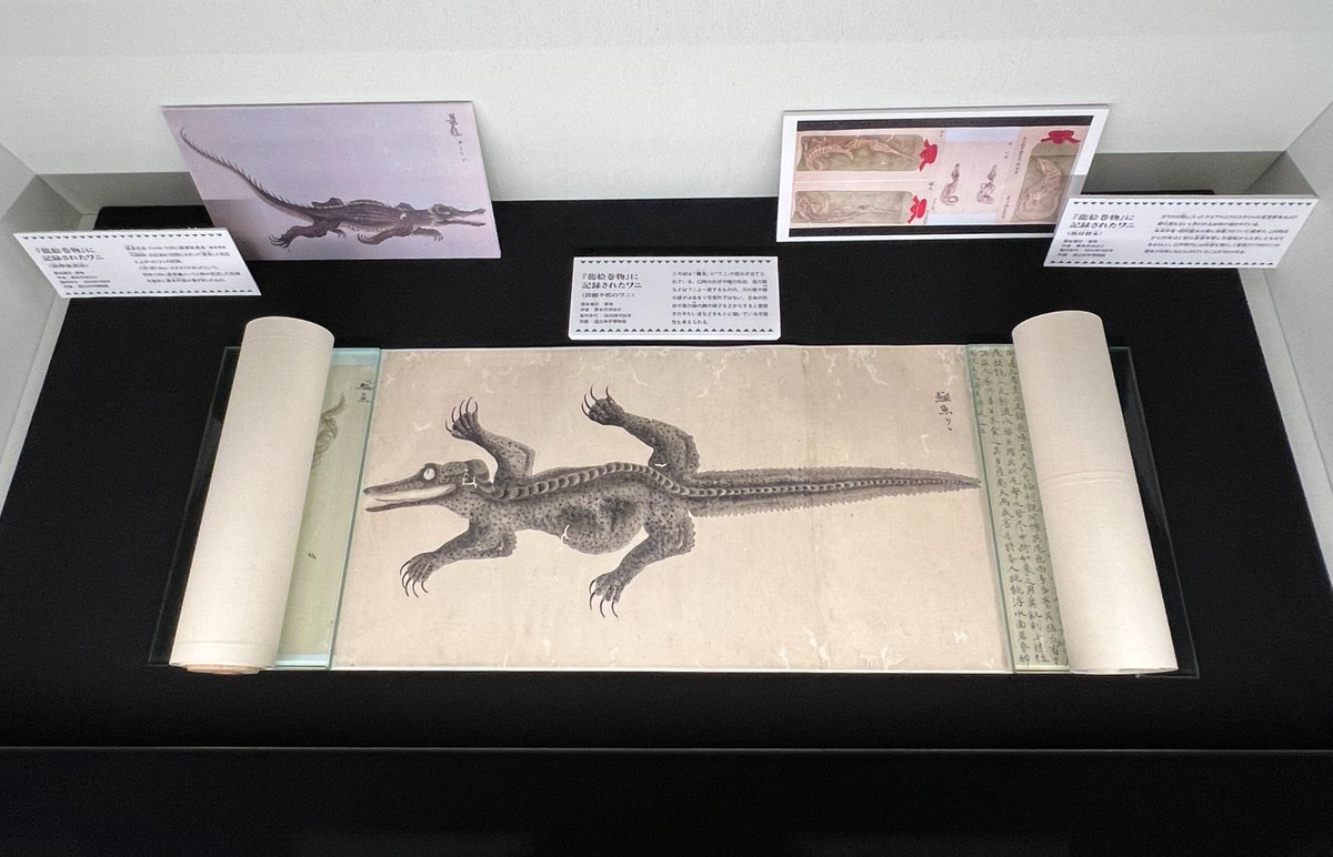 ✨第2回展示替え✨ 『龍絵巻物』第2回目の場面替えを行いました