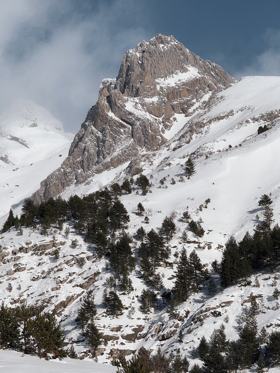 Huesca La Magia tweet media