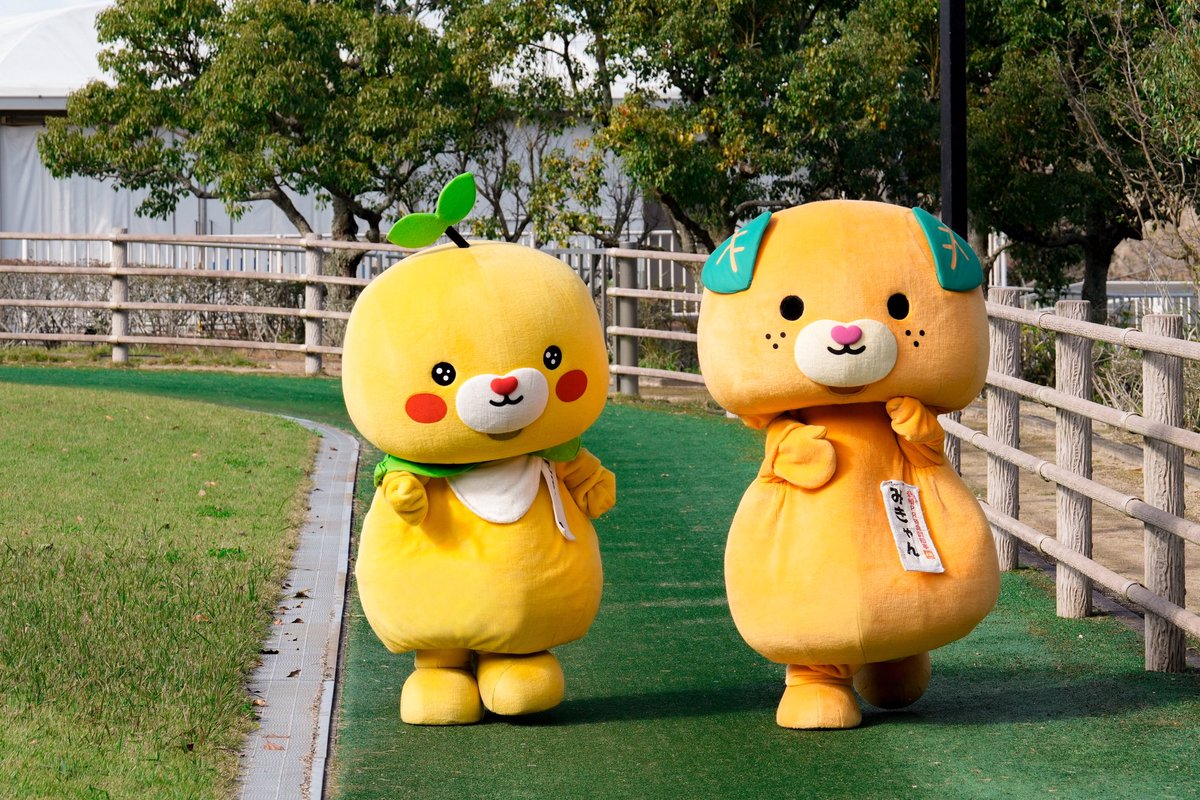 みきゃん【公式】《愛媛県イメージアップキャラクター》 (@micanehime