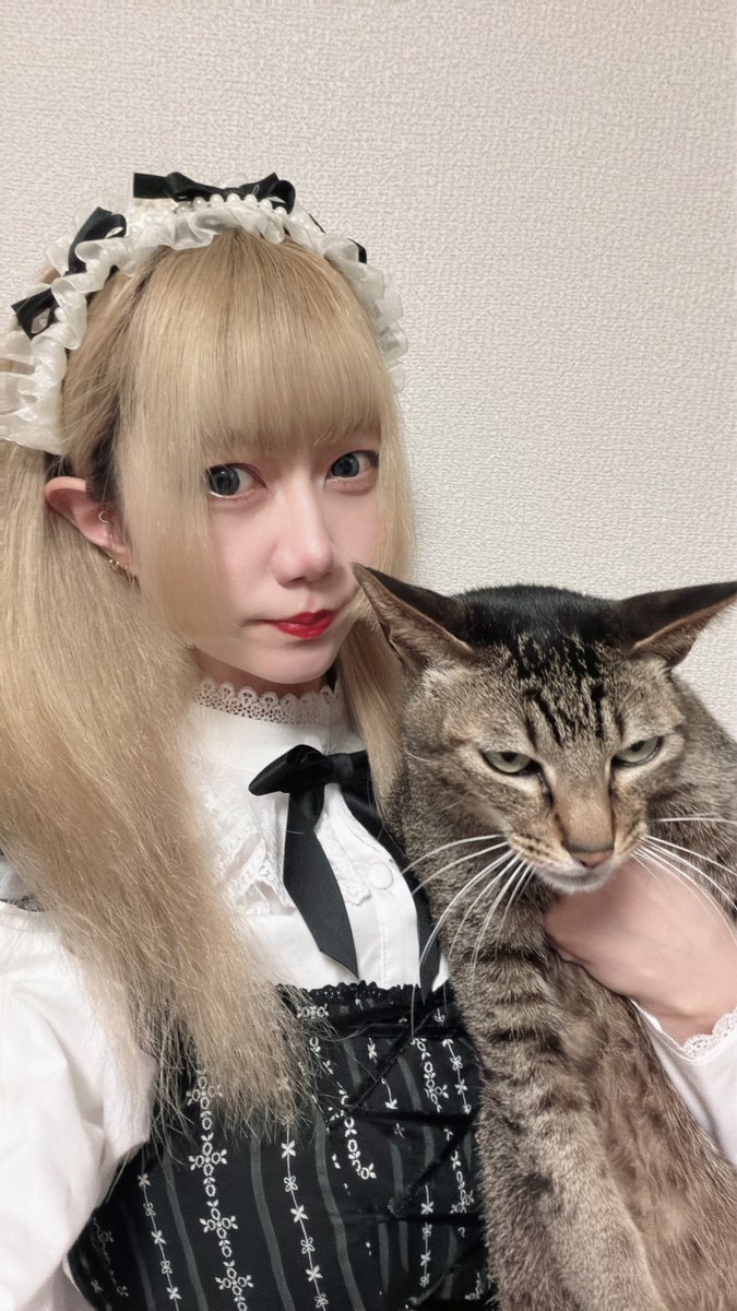 蓮華さま専用ページ 本柘植 金剛蓮華台座（手彫）十三仏光背（一枚材手彫） 白木 釈迦如来