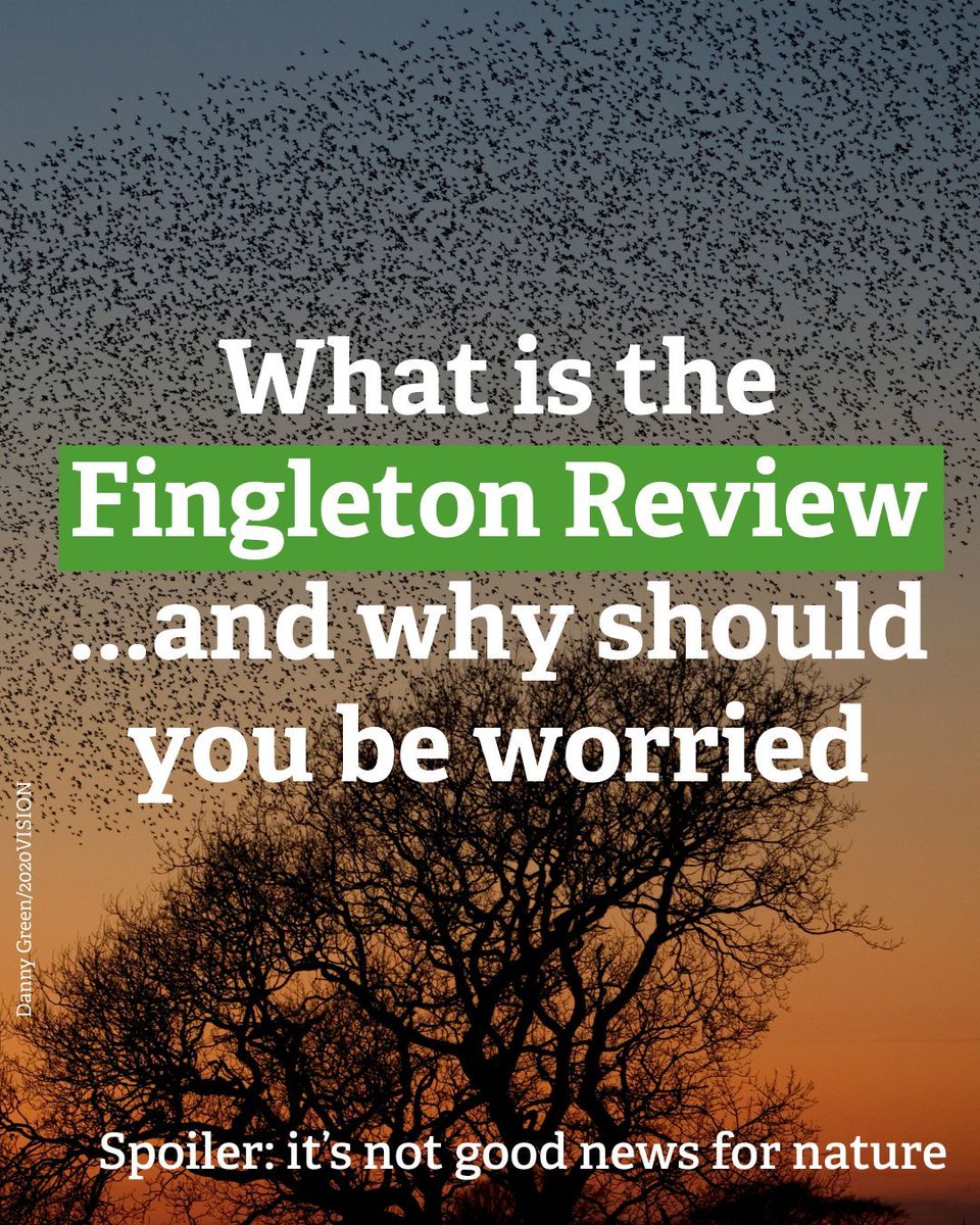 BBO Wildlife Trust tweet media