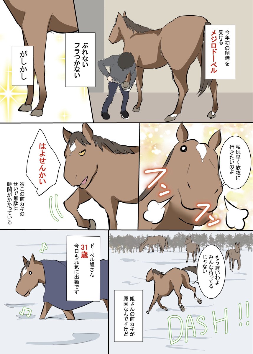 柘榴🐦‍⬛🦉🐦‍🔥 (@zakuro87) / Posts / X