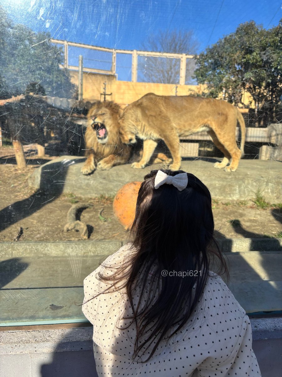 ちゃぴ ☺︎ (@chapi621) / Posts / X