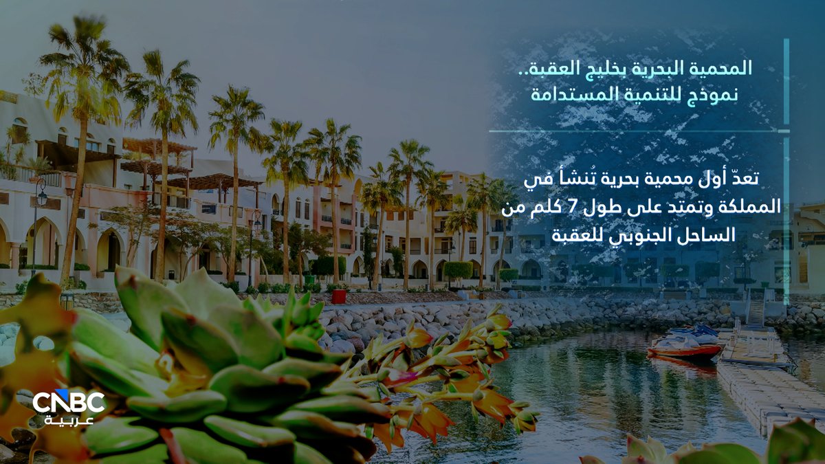 خليج العقبة.. محمية بحرية تحمي التنوع البيولوجي وتدعم الاقتصاد الأزرق. التفاصيل في حلقة جديدة من برنامج CNBC عربية الأردن.. عبر موقعنا الإلكتروني 