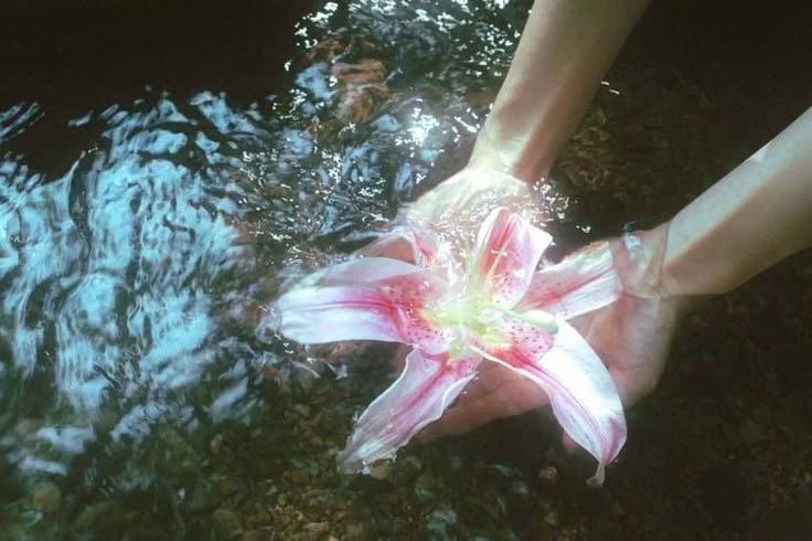 seraphicxc's tweet image. 