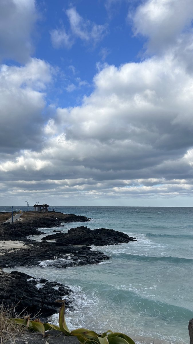 qpxxdp's tweet photo. 🍊제주도 동쪽 뚜벅이 여행 타래 · ̫· https://t.co/3obZZ29r5l