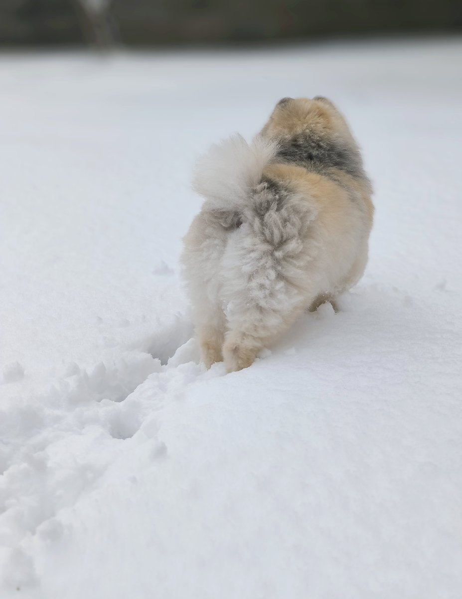 ちーちゃん54🥭 (@chichan54) / Posts / X