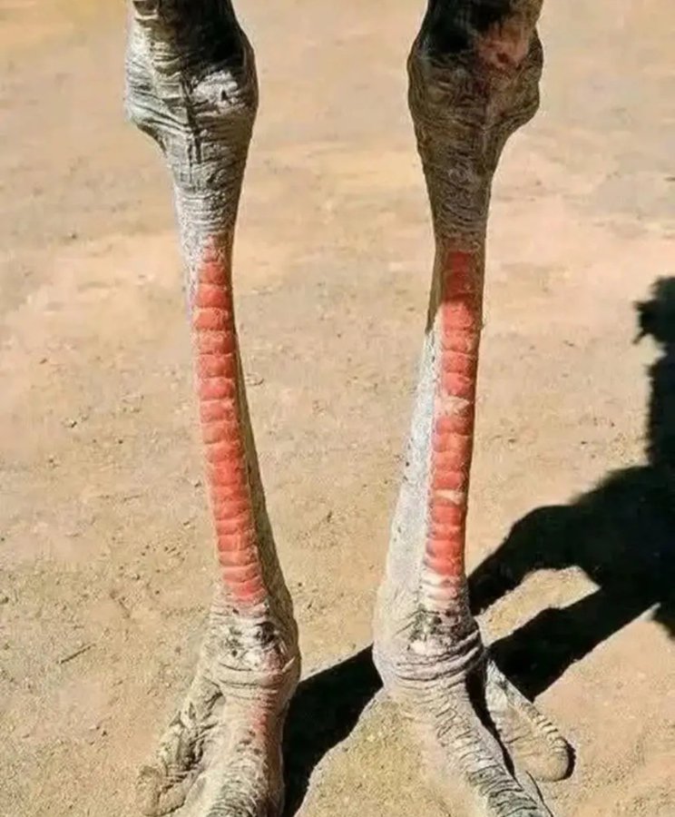 6 yr old me after bathing and bask around the fireplace