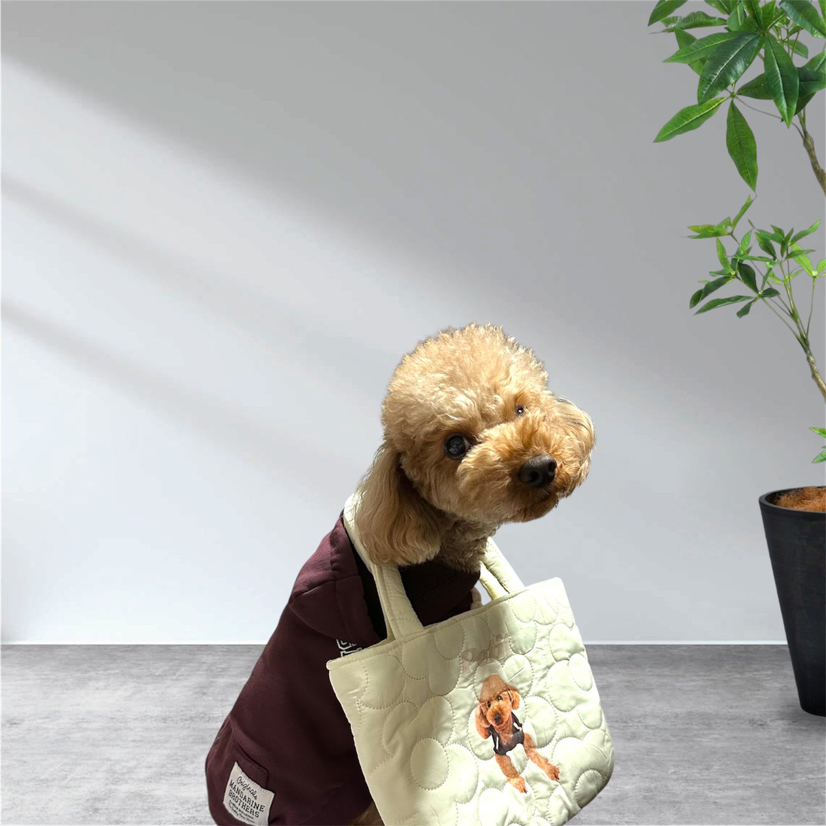 かわいいバッグ作ってもらったよ🐩

お花のキルティングバッグ❁⃘*.ﾟ

可愛くて軽くて最高✧‧˚

モデルさん頑張りました🐩💕

#トイプードル　#うちの子グッズ
#ありがとう