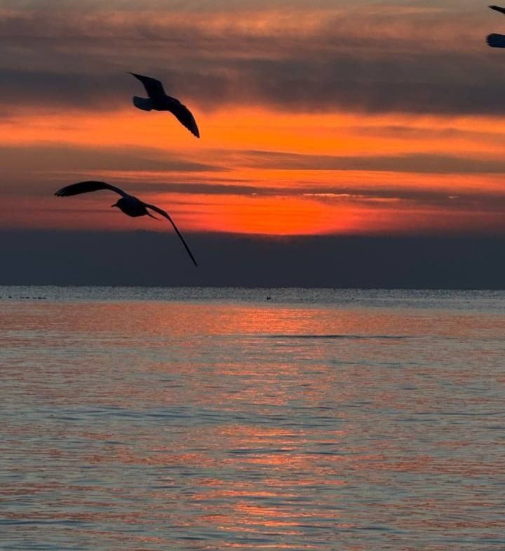 Катерина Галич tweet media