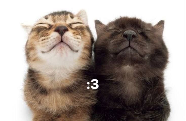 rene (@juhoontwt) on Twitter photo 