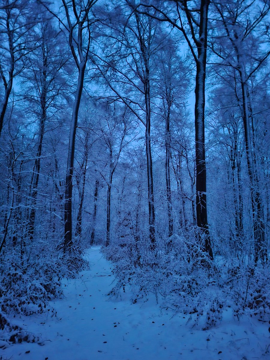 Rotraud Falke-Held tweet media