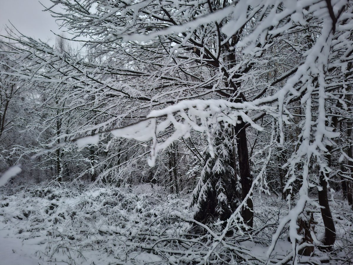 Rotraud Falke-Held tweet media