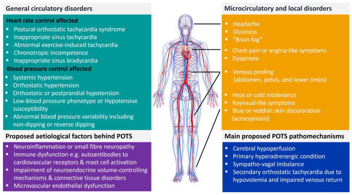 🔬 #POTS: Una Revisión Actualizada que todo clínico debe conocer
l Síndrome de Taquicardia Postural Ortostática (#POTS) es más que mareos. Es un trastorno complejo de intolerancia ortostática con una amplia y debilitante carga sintomática, a menudo infradiagnosticado. #LongCovid