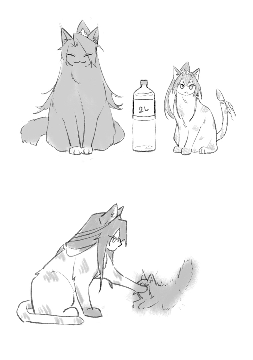 이거 이 계정에 있던가... 설자냥이에요