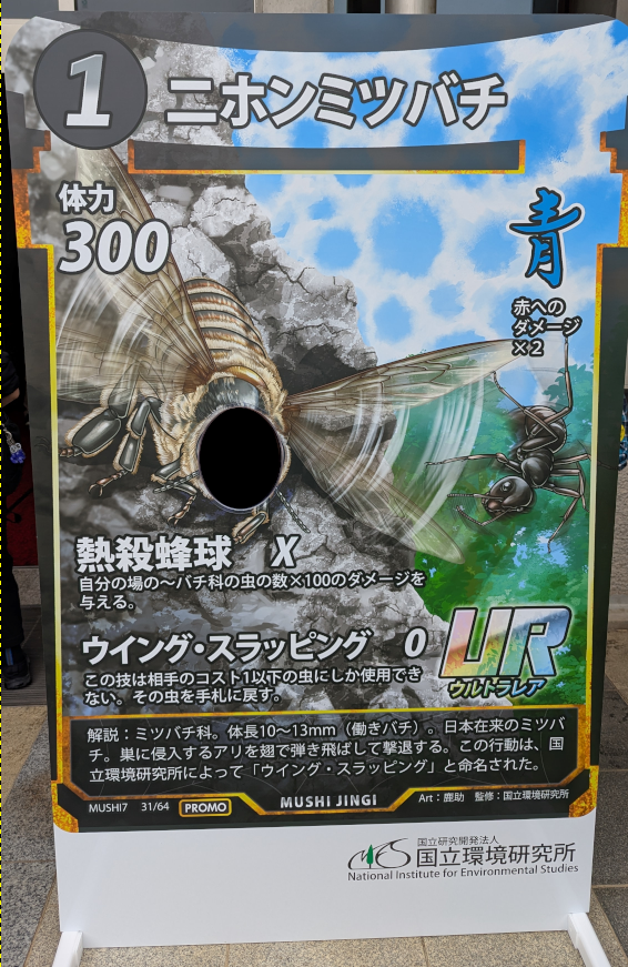 今回こちらの出張展示でのプロモカード配布(ニホンミツバチ,ヒアリ