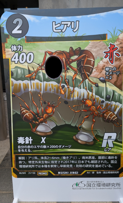 ニホンミツバチ ×2 ヒアリ ×2 セット 蟲神器 ニホンミツバチ ×2 ヒアリ ×2 セット 蟲神器 - メルカリ